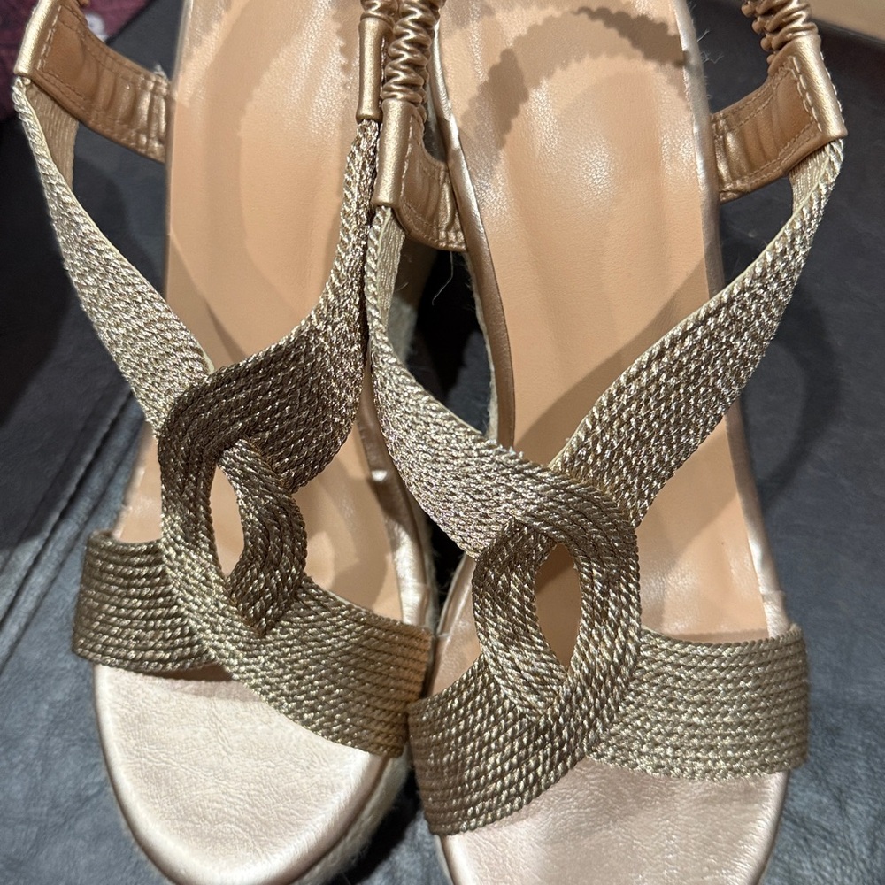 Elegant Gold Wedge Sandals